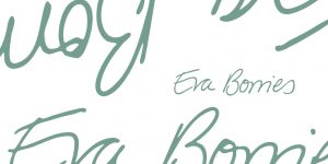 Der Schriftzug des Logos von Eva Borries - Referentin für Medienpädagogik. Design: RORE DESIGN